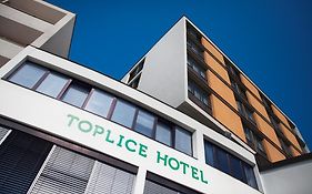 Toplice Hotel